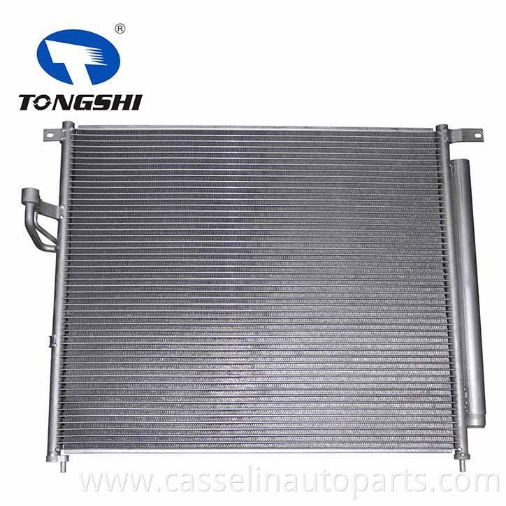 Air Conditioner Auto Condenser for FORD RANGER (TKE) 2.2 TDCI 11 2045000254 Car Ac Condenser